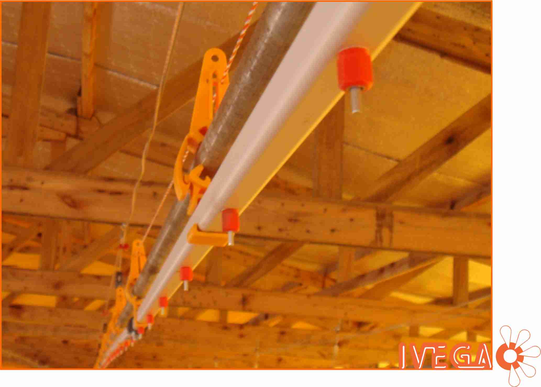 Sistema de bebedero nipple para galpones de produccion de pollos IVEGA