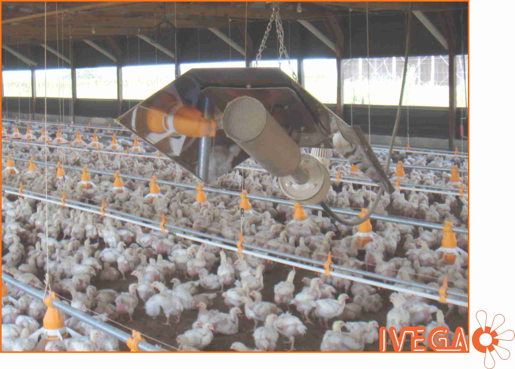 Estufa de 10000 watts para calefaccionar galpones avícolas